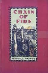 Beverley Naidoo - Chain of Fire