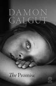 Damon Galgut - The Promise