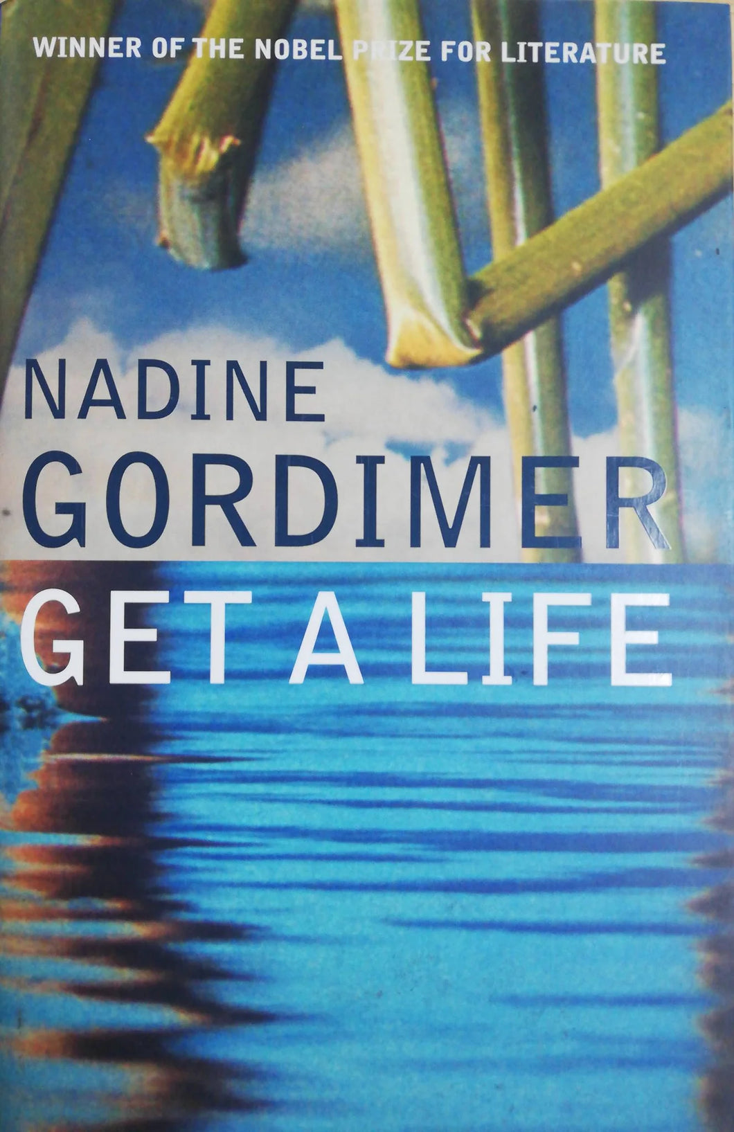 Nadine Gordimer - Get a Life