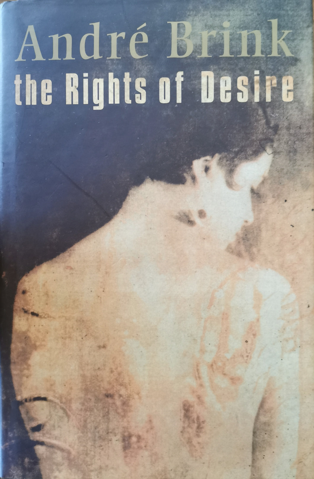 Andre Brink- The Rights of Desire