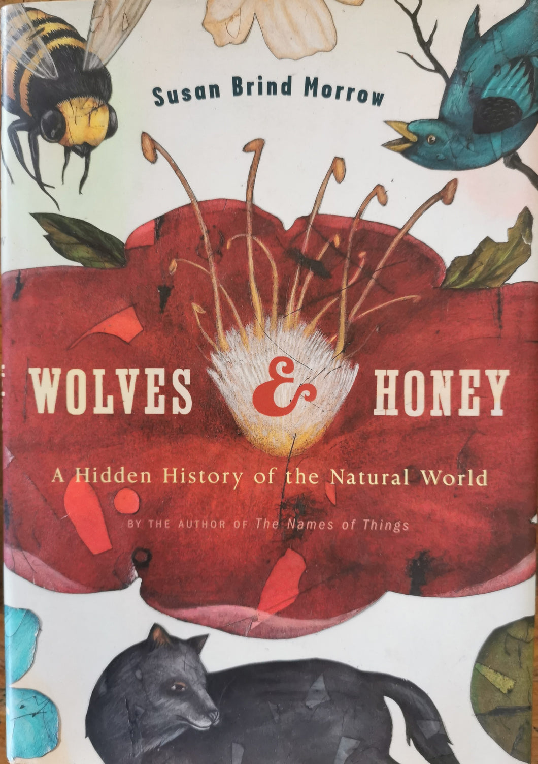 Wolves & Honey: A Hidden History of the Natural World by Susan Brind Morrow