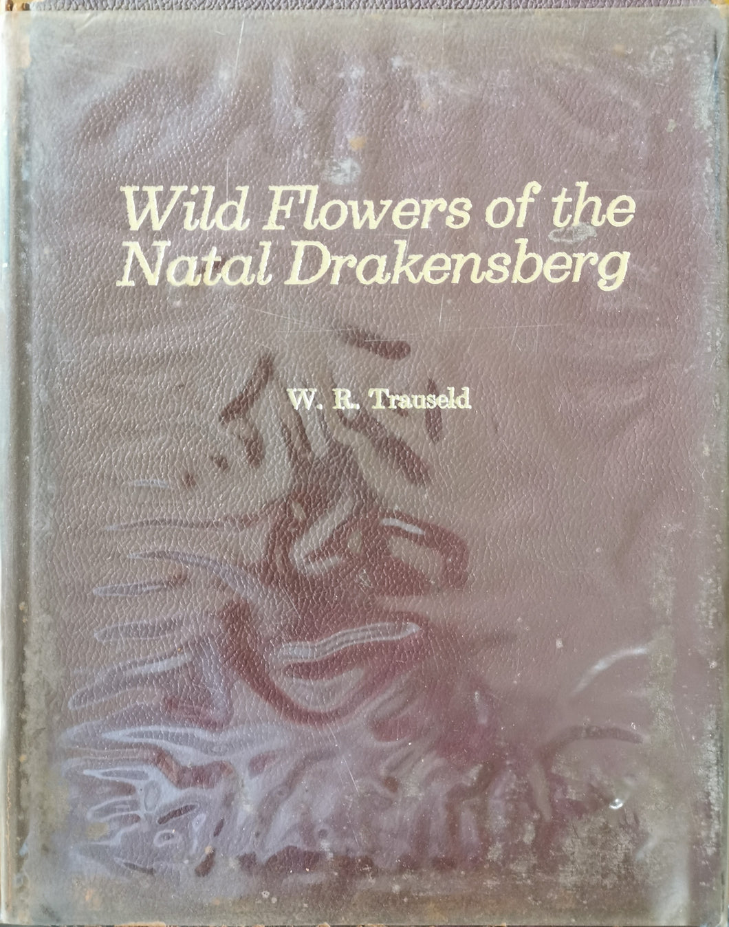 Wild Flowers of the Natal Drakensberg - W.R. Trauseld