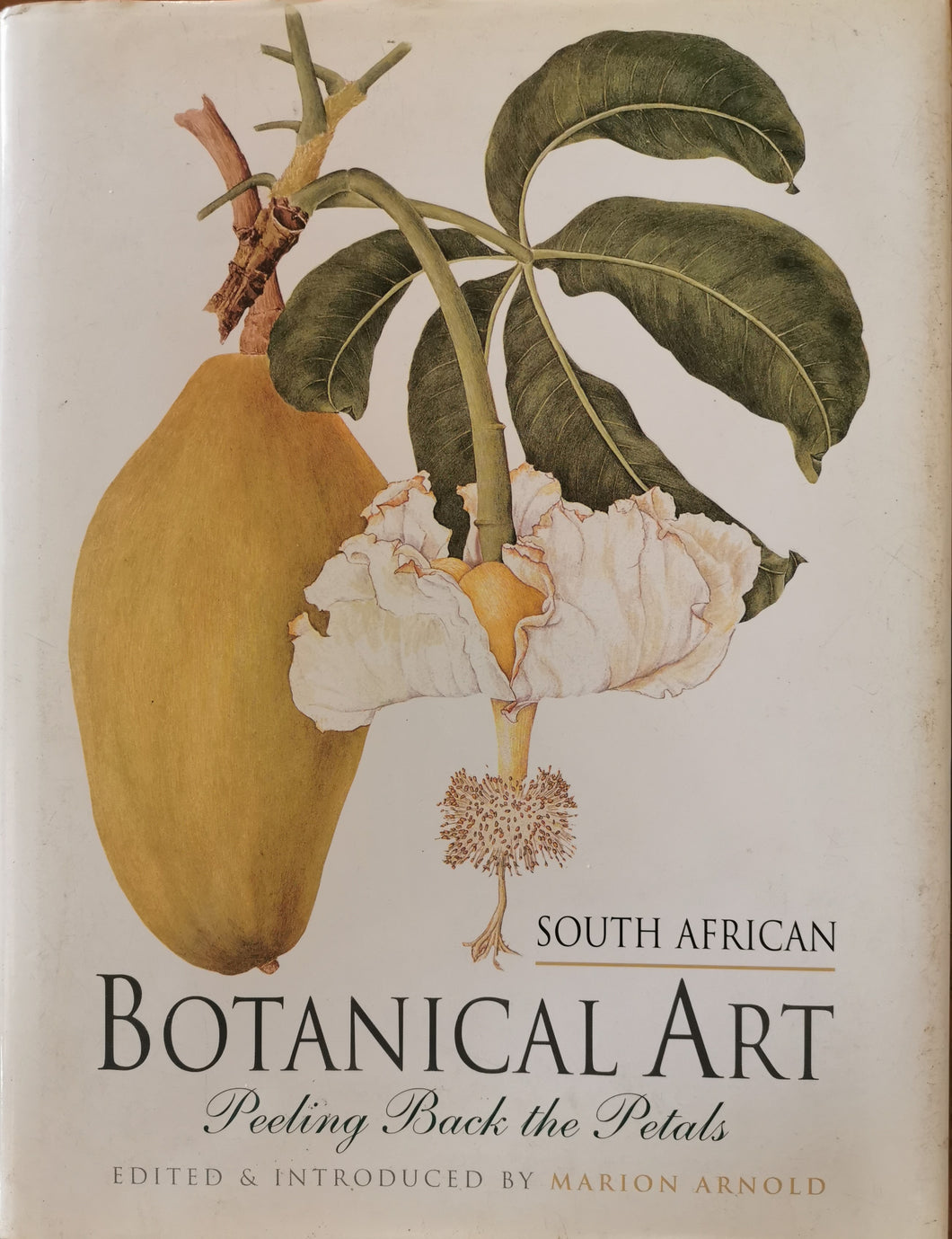 South African Botanical Art - Marion Arnold