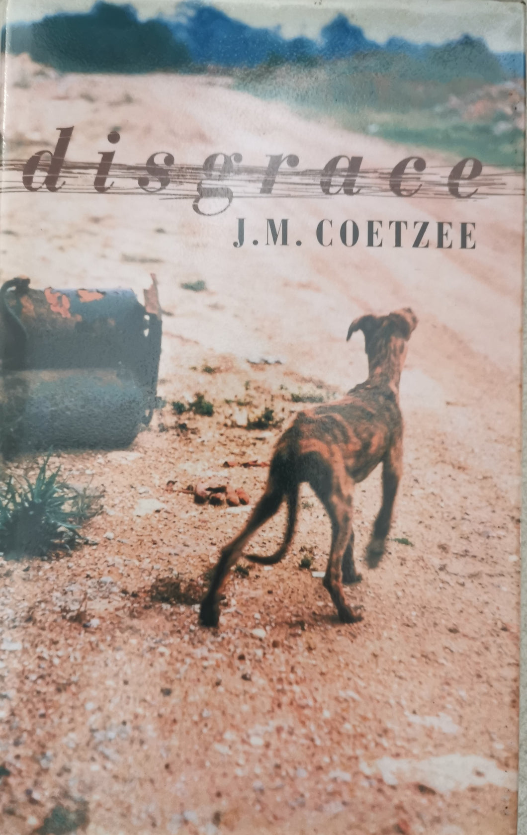 JM Coetzee - Disgrace