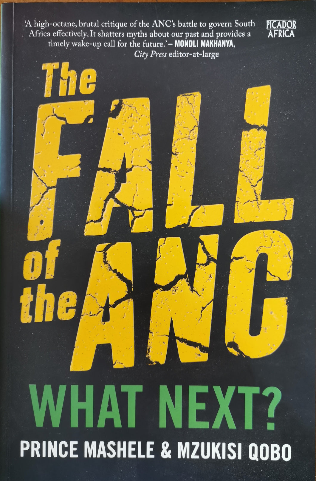 The Fall of the ANC: What Next? - Prince Mashele and Mzukisi Qobo