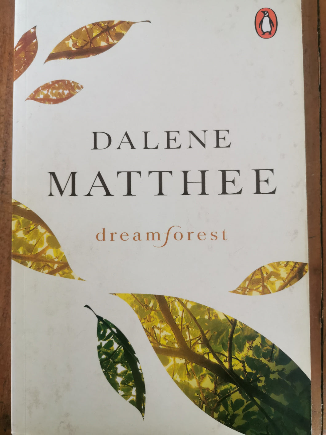 Dalene Matthee - Dreamforest